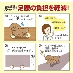 おくだけ吸着　消臭保護マット60×120 2本セットの画像