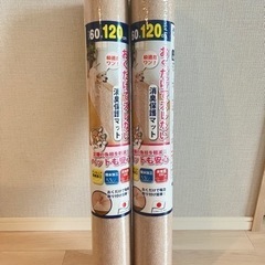 おくだけ吸着　消臭保護マット60×120 2本セットの画像