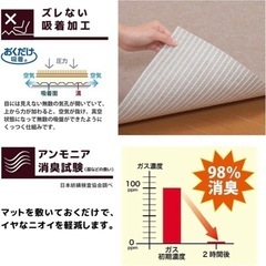 おくだけ吸着　消臭保護マット60×120 2本セットの画像