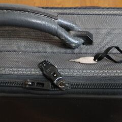 ビジネス旅行バッグの画像
