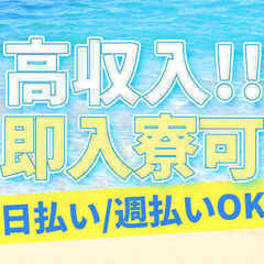 ≪最短3か月×高収入月50万越え！？≫軽作業ワーク*住み込み可◎‐愛知県の画像