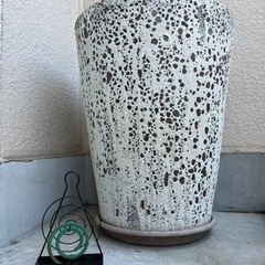 鉢の画像