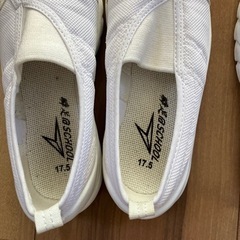 瞬足シューズ　体育館シューズセットの画像