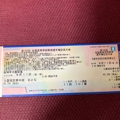 第105回全国高等学校野球選手権記念大会 8月11日(金祝)チケット