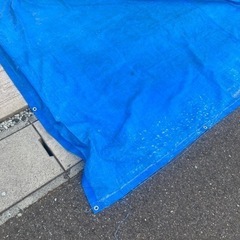 ブルーシート　中古　ボロボロの画像