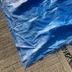 ブルーシート　中古　ボロボロの画像