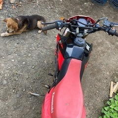 決まりました‼️【ジャンク！不動車】KSR８０　の画像