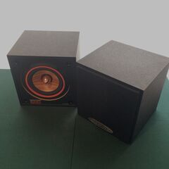 AURATONE 5PSC ウッドコーンスピーカーユニット換装済品の画像