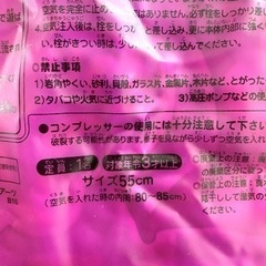 浮き輪　プリンセス　ソフィア　うきわの画像