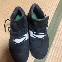  Saishū kakaku Nike Kyrie Flytrap EP 'Celtics' AJ1935-009の画像