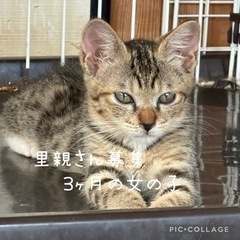 愛媛④2ヶ月半　女の子