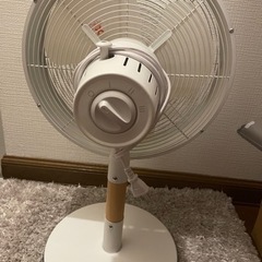 2017年 扇風機の画像