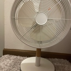 2017年 扇風機の画像