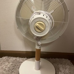 2017年 扇風機の画像