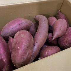 熊本県産 紅はるか 2kg   