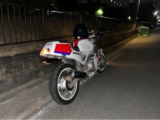 ヤマハ FZR 250 2KR