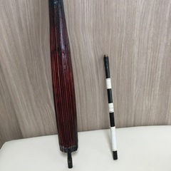 めちゃ映える！蛇の目傘の画像