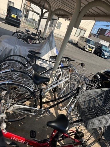 自転車 選択できる 専門店のプロが選ぶ！2025年、一般街乗り自転車の選びかた特集 