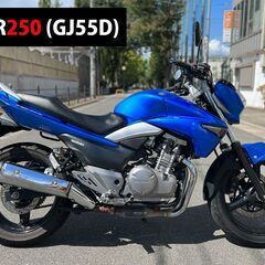 【大阪市】GJ55D GSR250 初めての単車にピッタリ！ 2...