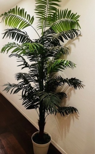 観葉植物【アレカヤシのフェイク】