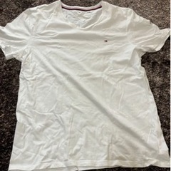 トミー　Tシャツ👕
