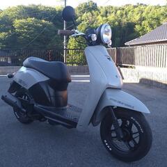 ありがとうございました！ＡＦ６１ TODAY グレーでかわいい