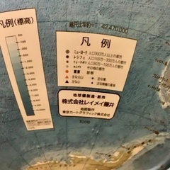 地球儀　レイメイ藤井　直径30cm程度の画像
