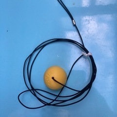 引紐2m【お値下げ　100円→20円】の画像