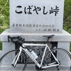キャノンデール CAAD12
