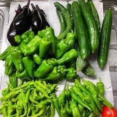 【追記あり】夏野菜　バラ売り10円〜