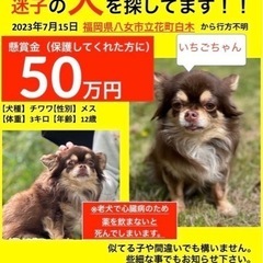 八女市いちごちゃん！