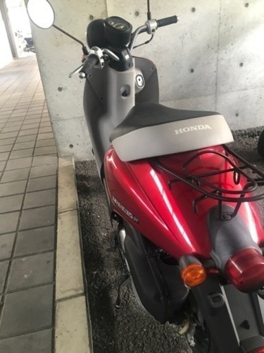 決まりました‼️人気の赤‼️ホンダトゥデイAF67