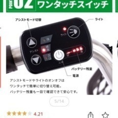 【折り畳み電動アシスト自転車】 20インチ折り畳み外装6段変速 PELTECH(ペルテック)(TDN-206X/L)  8AH の画像