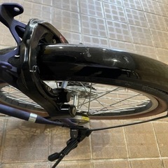 【折り畳み電動アシスト自転車】 20インチ折り畳み外装6段変速 PELTECH(ペルテック)(TDN-206X/L)  8AH の画像