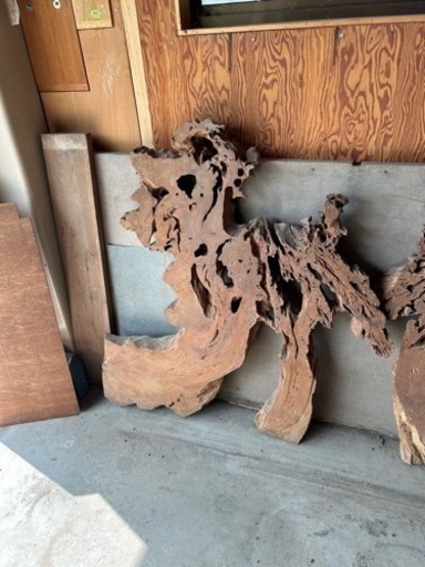 桜の木　二枚セット