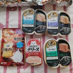 ネコちゃんのご飯とおやつの画像