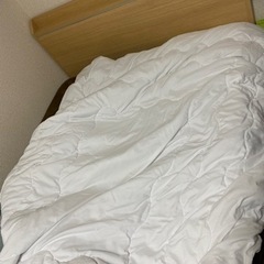 ニトリの引き出し付きベッド(引き取り先決定済)の画像