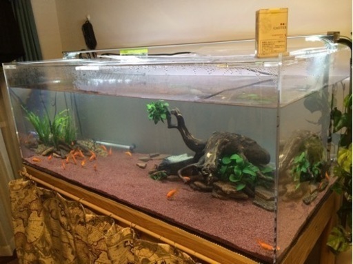アクリル120cm水槽　幅60cm 熱帯魚　古代魚飼育用水槽