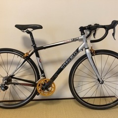 TREK Pilot1.2 ロードバイク-戦国乙女ーtypeA-