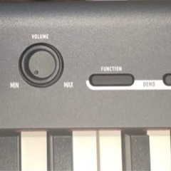 エイブイ：CASIO  CDP-S100  デジタルピアノ　2020年製の画像