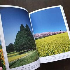 無料！　死ぬまでに行きたい！世界の絶景　日本編の画像