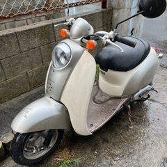 ホンダ、スクーピー売ります