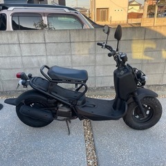 ホンダ ズーマー ZOOMER マットブラック色 (90) 金蔵寺のバイクの中古