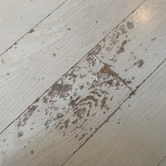 フローリングの補修の画像