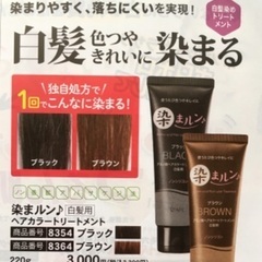 【新品】白髪染めヘアカラートリートメント「染まルン♪」２本セットの画像