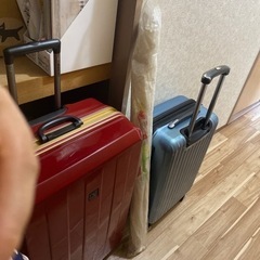 ベビー蚊帳の画像
