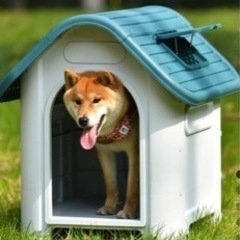 無料で探してますm(_ _)m