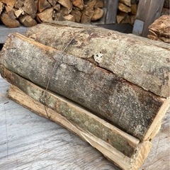 樫　⚠️最後まで必読下さいの画像