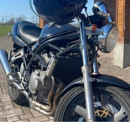 （購入できます） バンディット 250