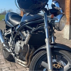 （購入できます） バンディット 250